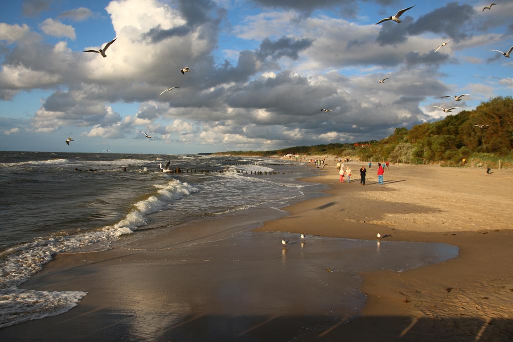 Dom Goscinny Albatros I Rewal Buitenkant foto
