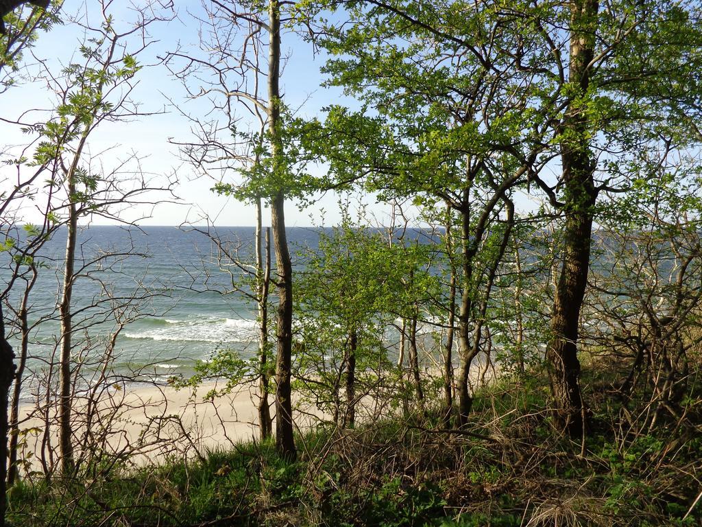 Dom Goscinny Albatros I Rewal Buitenkant foto